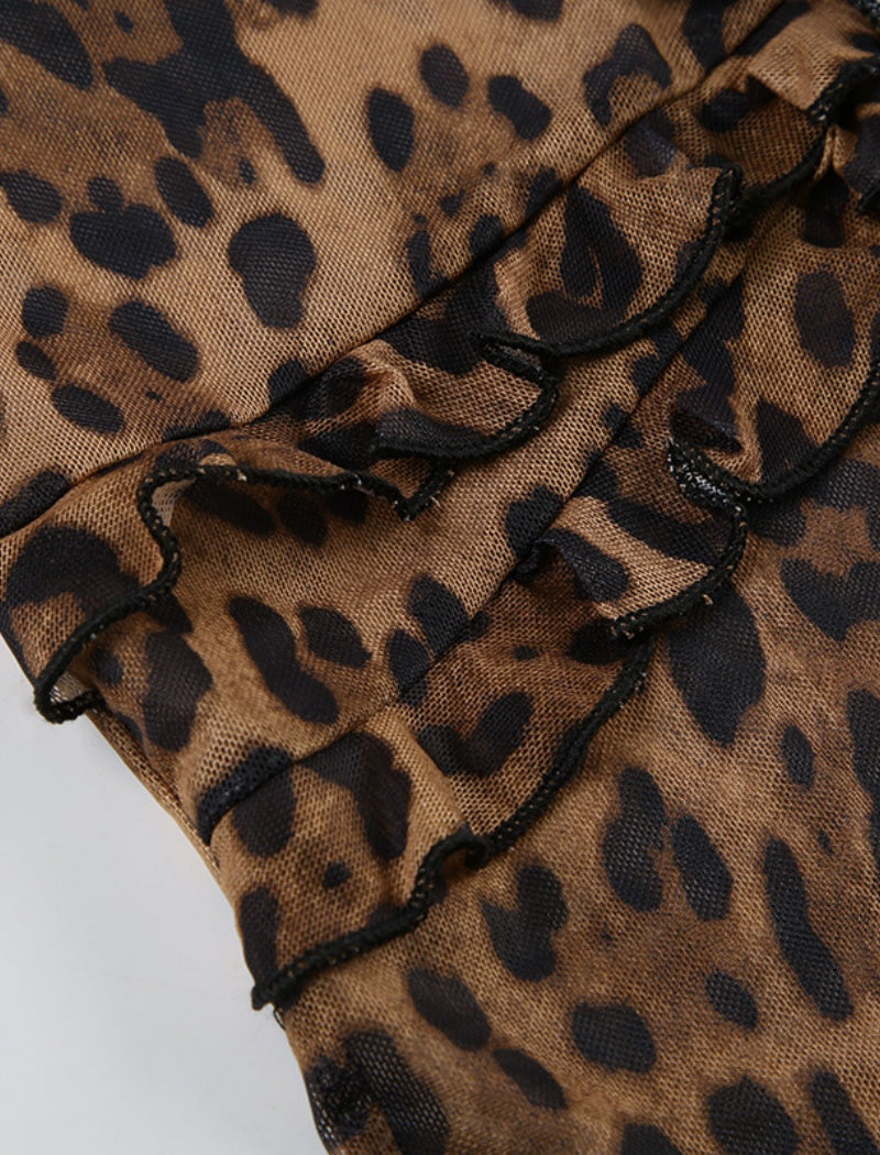 Sheer Leopard Print Long Sleeve Top