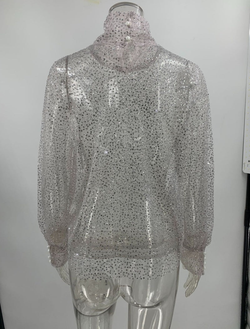 Sequin Mesh Turtleneck Pullover Top