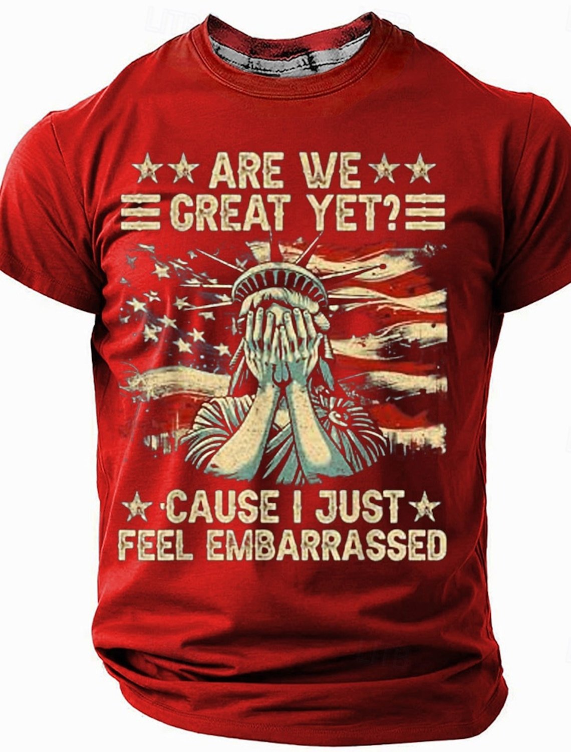 Mens American Flag Funny Sarcastic Slogan Cotton Short Sleeve T-Shirt