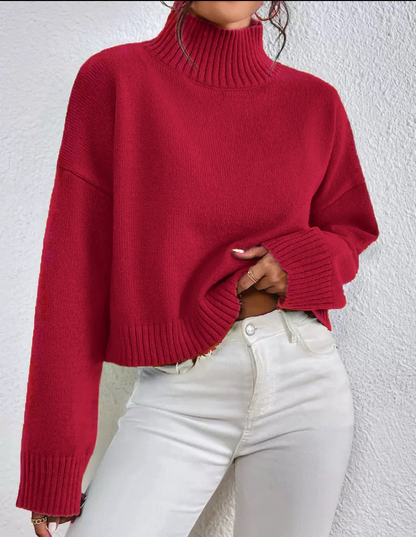 Relaxed Fit Half Turtleneck Pullover Sweater