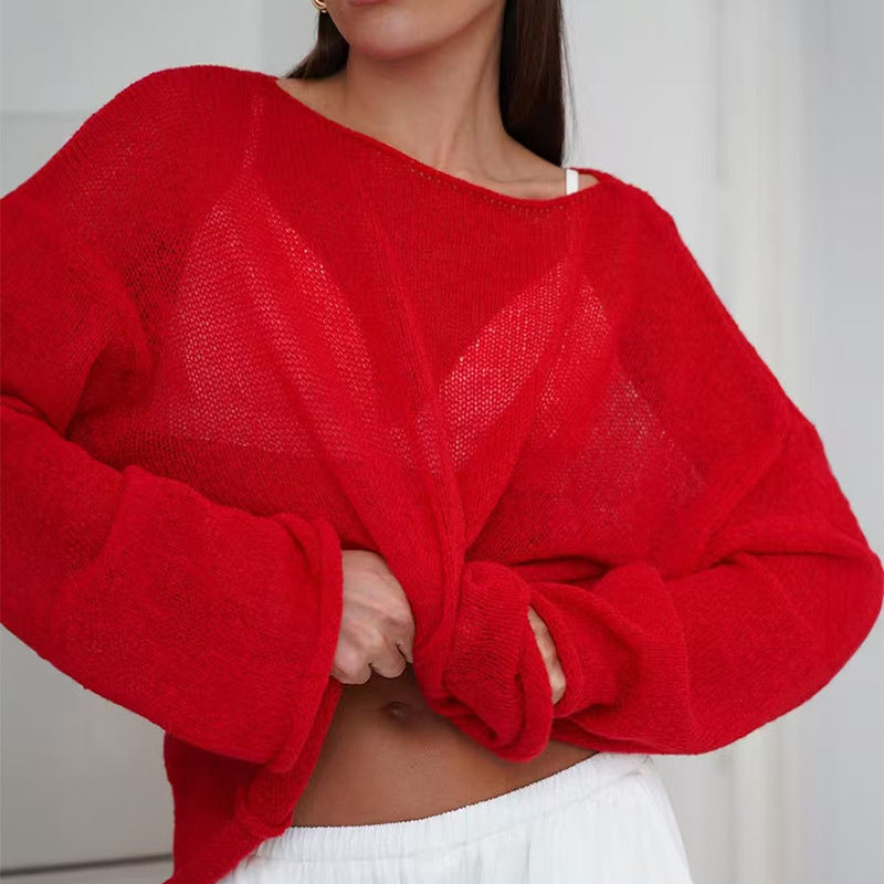 Sheer Hollow Knit Crew Neck Sweater