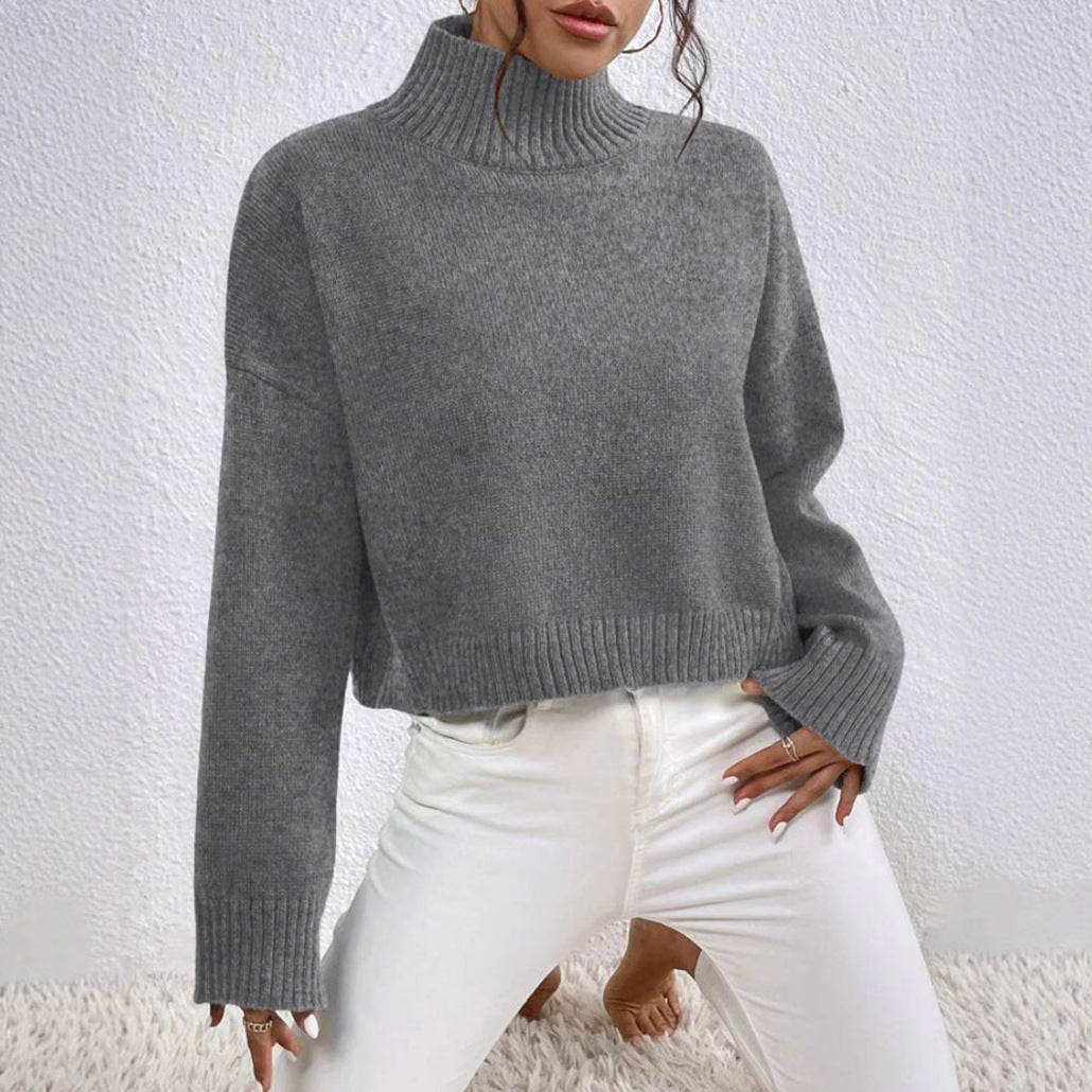 Relaxed Fit Half Turtleneck Pullover Sweater