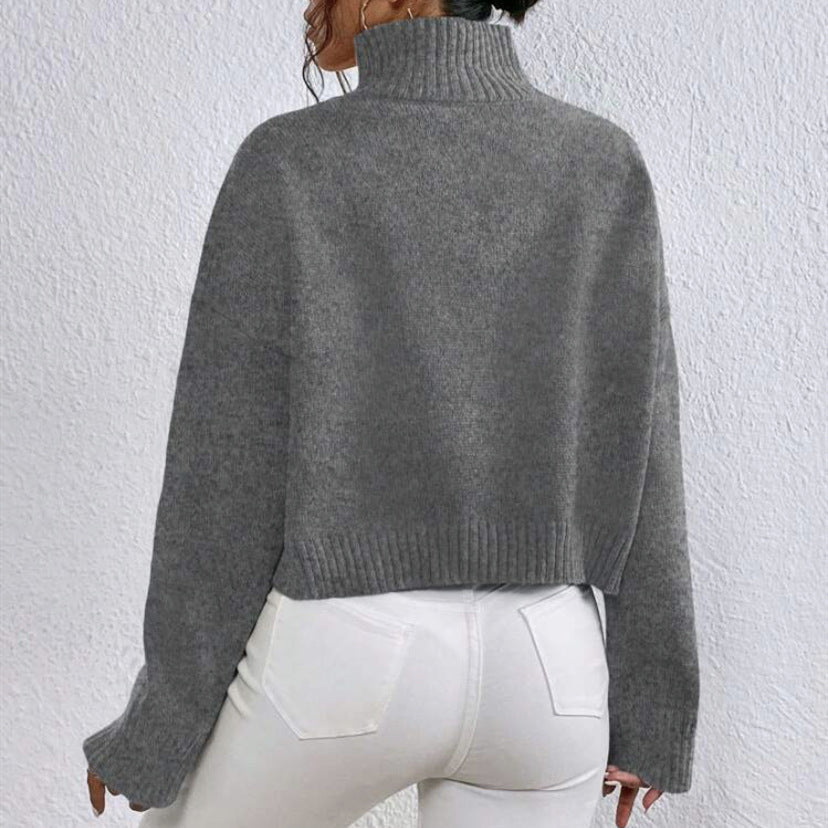 Relaxed Fit Half Turtleneck Pullover Sweater