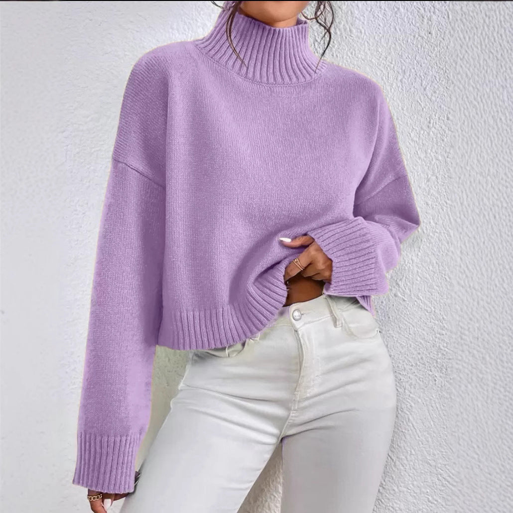 Relaxed Fit Half Turtleneck Pullover Sweater