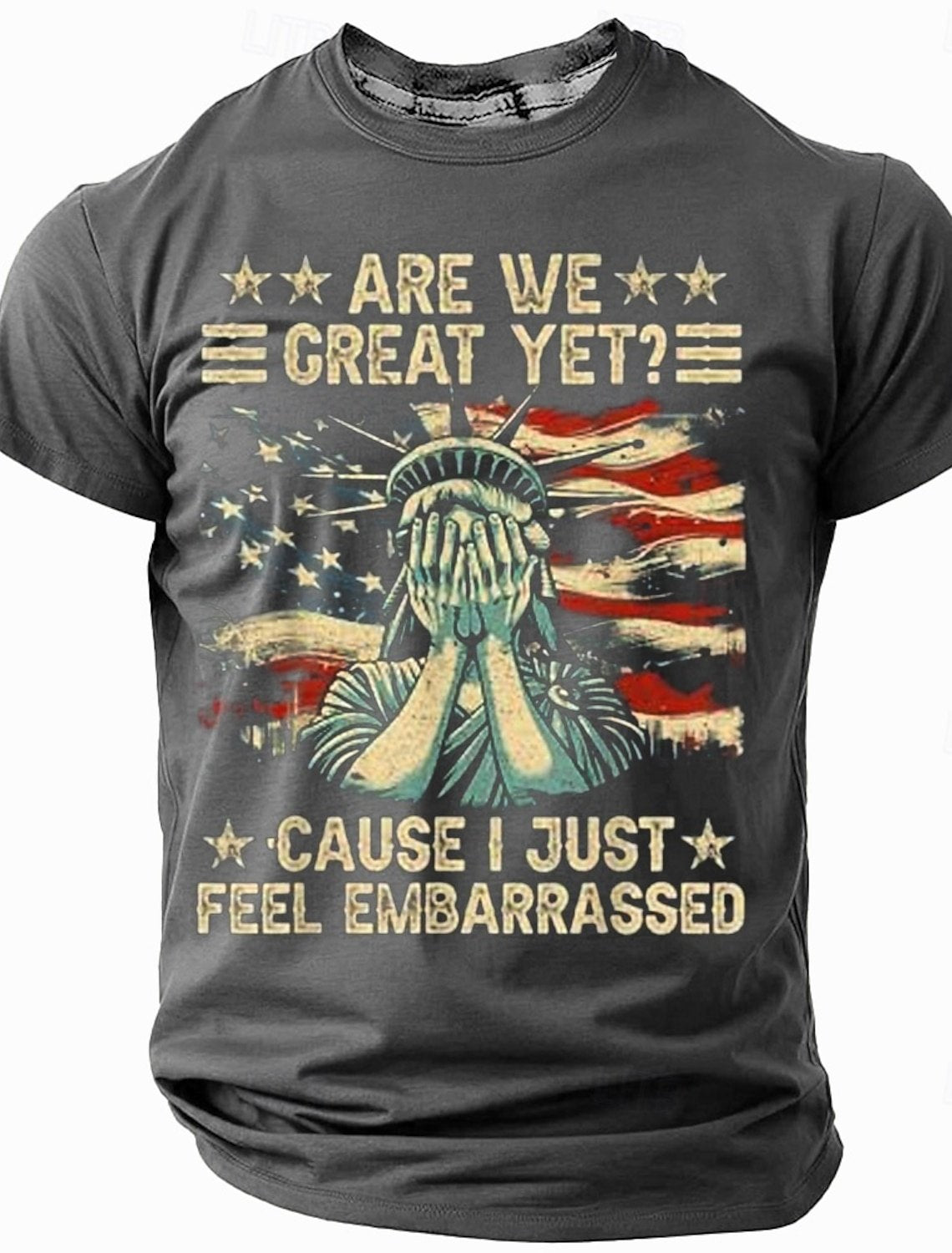 Mens American Flag Funny Sarcastic Slogan Cotton Short Sleeve T-Shirt
